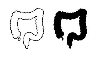 Human intestine showing large and small intestine and appendix vector