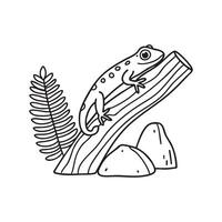 Doodle illustration of a gecko resting on a tree branch log near ferns on rock vector
