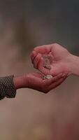 A Beautiful Open Hand Gesture Displayed Against an Abstract Background of Colors and Shapes video