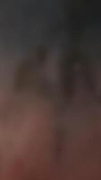 This is an abstract artwork featuring a blurred background filled with organic shapes video