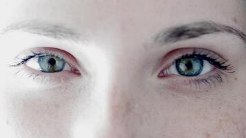 A CloseUp View of Captivating and Strikingly Beautiful Green Eyes Featuring Unique Details video