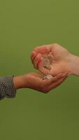 An open hand against a vivid green background beautifully evokes a profound sense of calm and peace video