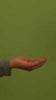 A Sleek Olive Green Pattern that is Perfect for Various Modern Design Projects and Needs video