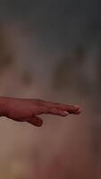 An Outstretched Hand Set Against a Soft and Subtle Background for Creative Interpretation video