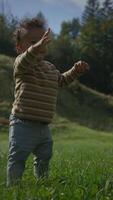 A joyful toddler is playing in a sunlit, vibrant grassfield filled with greenery video