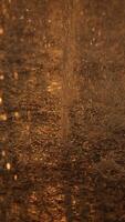 Raindrops falling gently on a shimmering golden surface are captivating and mesmerizing video