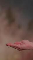 An abstract textured background with warm tones and intricate patterns, inviting creativity video