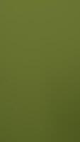 Abstract Green Background A Smooth Texture Ideal for Various Design Applications video