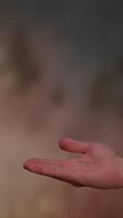 An Abstract Colorful Background featuring Soft Blurs and Textures for aesthetic appeal video