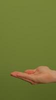 This is an abstract green texture background that can be utilized for various design purposes video