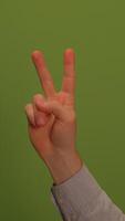 A Textured Green Background Featuring Subtle Variations to Enhance Visual Appeal video
