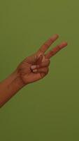 Explore a Textured Green Background that is Perfect for Your Creative Projects and Designs video