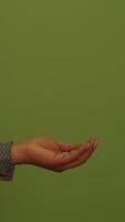 A Vibrant Green Background That Represents an Abstract Texture with Artistic Elements video