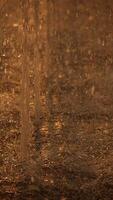 A Beautiful Rainy Reflection on a Wet Surface During a Stunning Sunset Evening Display video