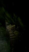 A Mysterious Pathway Extends Deep into the Dense Greenery of the Enchanted Forest video