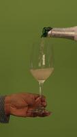 An Elegant Wine Glass Set Against a Beautiful Green Background for a Stunning Visual Appeal video
