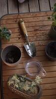 Gardening Tools and Various Potted Plants Arranged Neatly on a Beautiful Wooden Table video