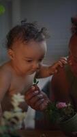 An Infant Exploring the Wonders of Nature with Gentle Adult Guidance and Careful Nurturing video