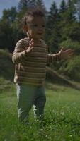 A cute toddler joyfully playing and having fun in the beautiful nature all around them video