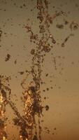 A breathtaking closeup view of shimmering water droplets set against a beautiful sunset background video