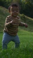A toddler joyfully exploring nature while playing in a beautiful, lush green field full of wonders video
