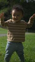 A Happy Toddler Joyfully Playing in the Beautiful Park Filled with Fun and Adventure video