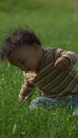 A child joyfully exploring the beauty of nature in a vast green field filled with wonders video