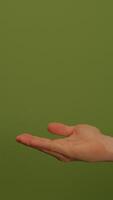Soothing Green Texture for Use in Backgrounds and Unique Design Projects and Elements video
