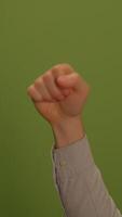 A Solid Green Background Offering Versatile Opportunities for Various Uses and Projects video