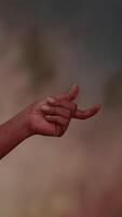 An Elegant Gesture of a Hand Against a Softly Blurred and Dreamy Background Scene video