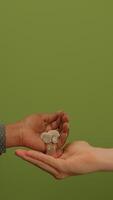 This is a Textured Green Background that is perfect for various Creative Projects and ideas video