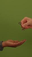 A beautifully muted green background texture that brings a calming effect to any space video