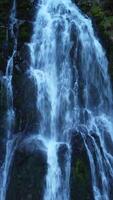 A Serene Waterfall Majestically Cascading into a Peaceful and Tranquil Pool Below video