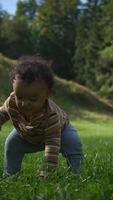 Exploring the Wonders of Nature A Toddler Joyfully Crawling on Soft Green Grass Outdoors video