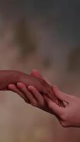 Unity Through Touch A Meaningful Symbol of Connection and Diversity Among All People video