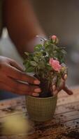 An Elegant and Serene Tea Ceremony Featuring a Beautiful Green Cup and Delicate Hands video