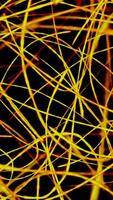 Stunning Dynamic Abstract Lines Displaying an Elegant Combination of Gold and Black Colors video