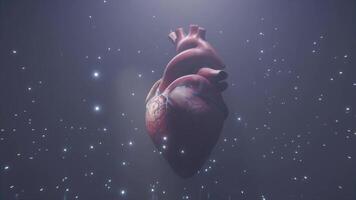 A detailed 3D rendering of a human heart floating in a sci-fi environment with glowing stars, symbolizing medical technology and the connection between biology and the universe. video