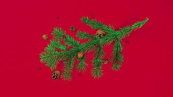 Stop motion animation of New Year's Tree Branch with Cones, minimal New Year, Christmas banner on red background video