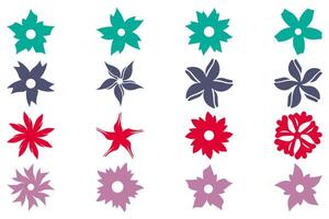 Collection of Botanical flower set vector