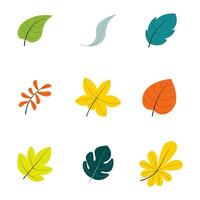 Various types and shapes of leaves vector