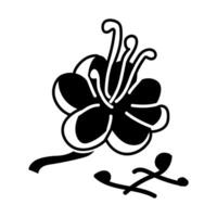 Flower and branches with saffron and dried spices. A separate hand-drawn sketch with lines and a silhouette. Illustration for the kitchen, products. Vintage style vector