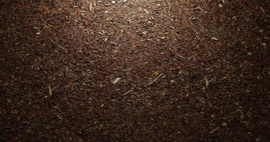 a dark brown dirt surface with a light shining on it. Forest soil texture. Top view point. Soil with dry leaves and stems. Suitable for surface, display, website, wallpaper, celebration, inspiration photo