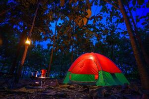 Red camping tent in a big forest, the ground is covered with brown fallen leaves and dry teak leaves in the autumn forest photo