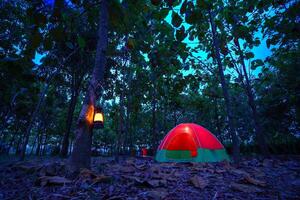 Red camping tent in a big forest at night, the ground is covered with brown fallen leaves and dry teak leaves in the autumn forest photo