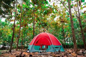 Red camping tent in a big forest, the ground is covered with brown fallen leaves and dry teak leaves in the autumn forest photo