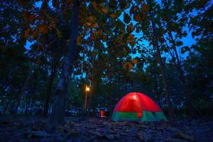 Red camping tent in a big forest at night, the ground is covered with brown fallen leaves and dry teak leaves in the autumn forest photo
