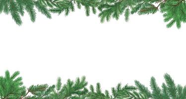 christmas border of branches. spruce twigs background. pine leaves isolated on a transparent background. eps 10 vector