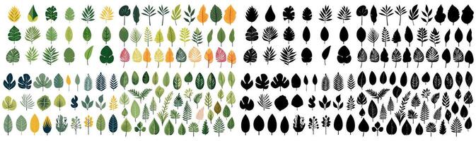 set of illustration and silhouettes of tropical leaves. isolated on a transparent background. eps 10 vector