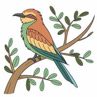 A colorful bird sitting on a branch vector
